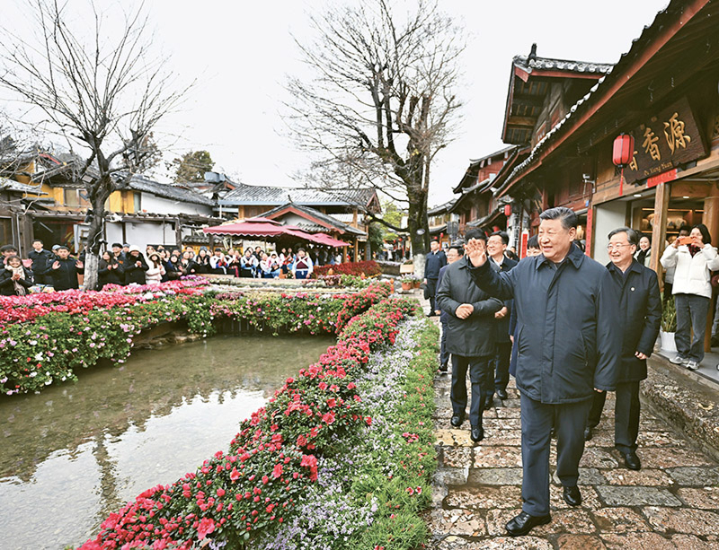 图片4