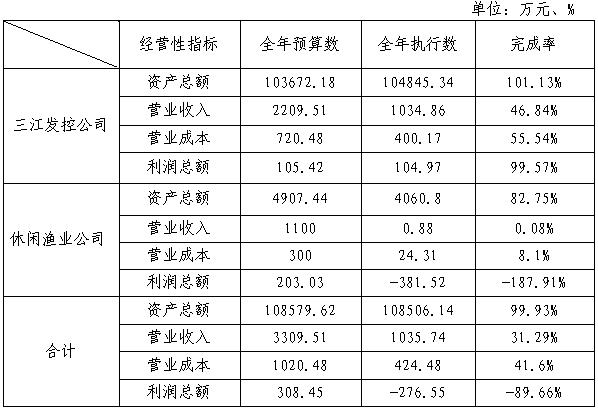 2025年1-6月份三江发控公司资产总额