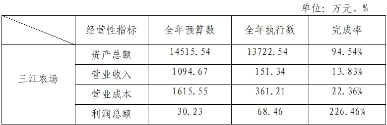 主要经营指标完成情况