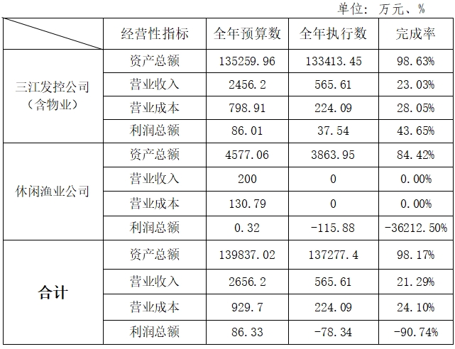 主要经营指标完成情况表