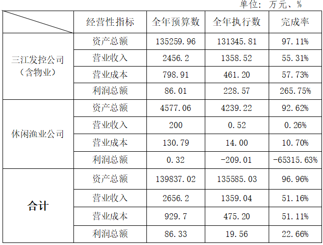 主要经营指标完成情况 主要经营指标完成情况