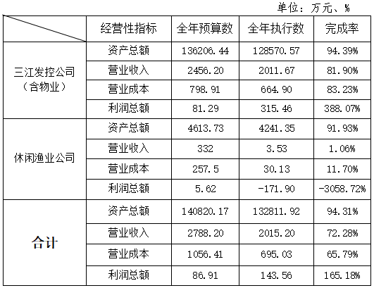 主要经营指标完成情况
